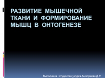 Развитие мышечной ткани и формирование мышц в онтогенезе
