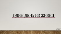 Один день из жизни