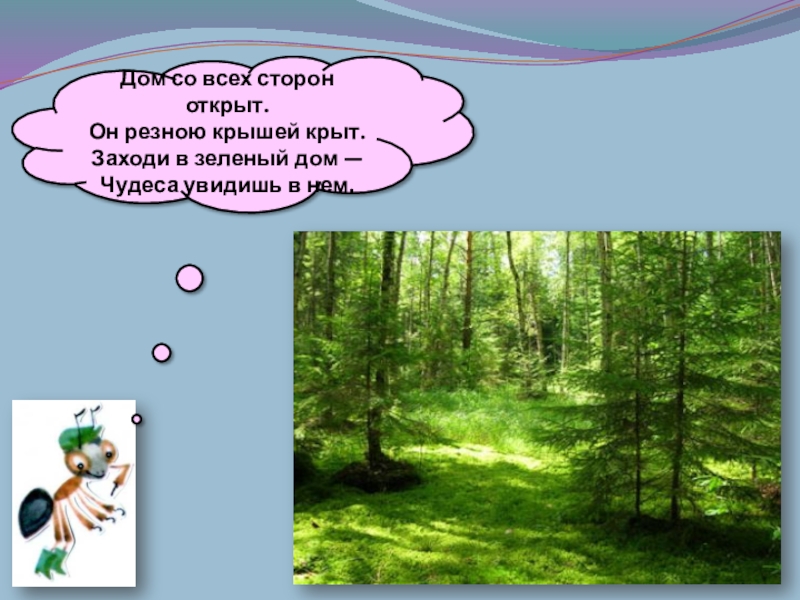 Заходи увидишь. Заходи в зелёный дом чудеса увидишь в нём. Заходи в зеленый дом чудеса увидишь в нем картинки. Заходи в зеленый дом чудеса увидишь в нем названия. Сценарий мероприятия заходи в зеленый дом чудеса увидишь в нем.