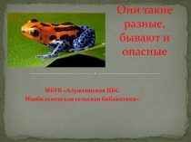 Они такие разные, бывают и опасные