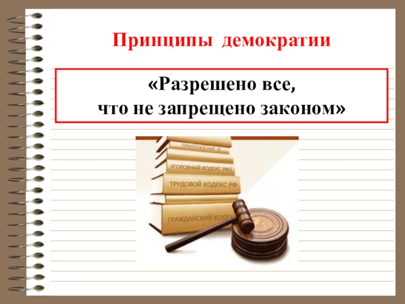 Политическая сфера 9. Принципы демократии. Принципы демократии кратко. Принцип народовластия.