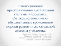 Эволюционные преобразования дыхательной системы у хордовых. Онтофилогенетически