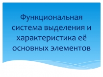 Функциональная система выделения и характеристика её основных элементов