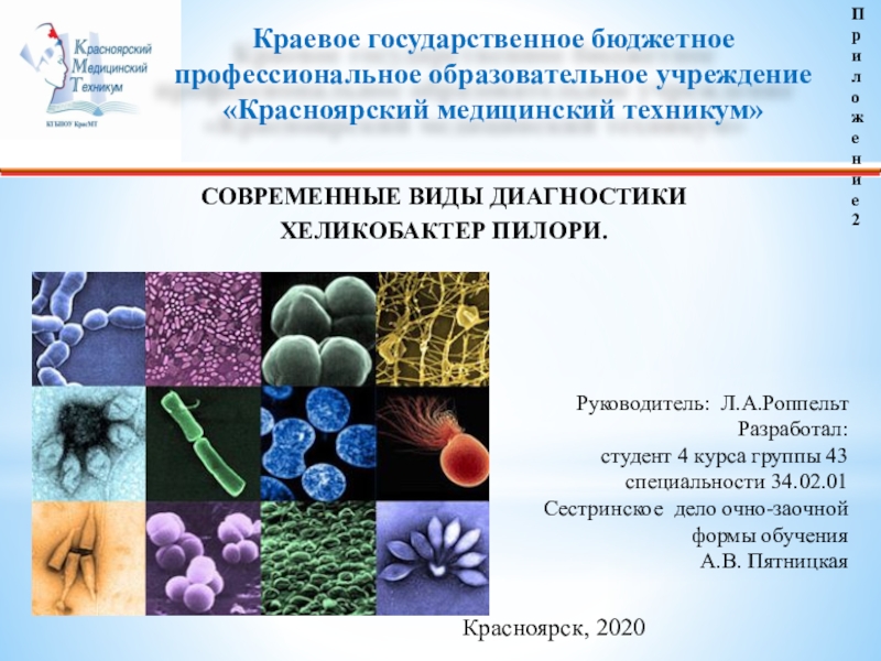 Красноярск, 2020
Руководитель: Л.А.Роппельт
Разработал:
студент 4 курса группы