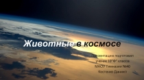 Животные в космосе