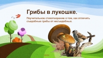 Грибы в лукошке