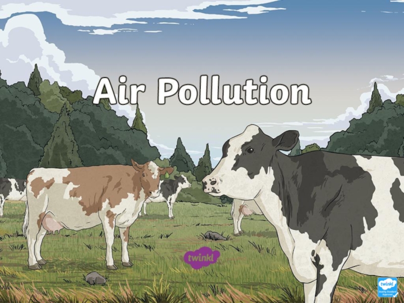 Air Pollution Presentatio