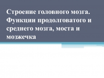 Строение головного мозга. Функции продолговатого и среднего мозга, моста и