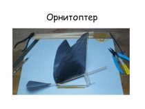 Орнитоптер