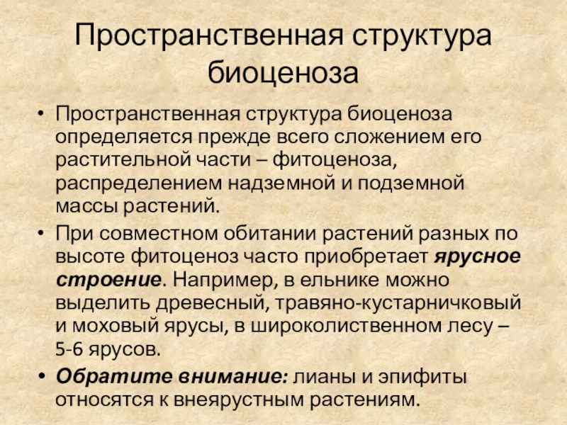 Пространственная структура