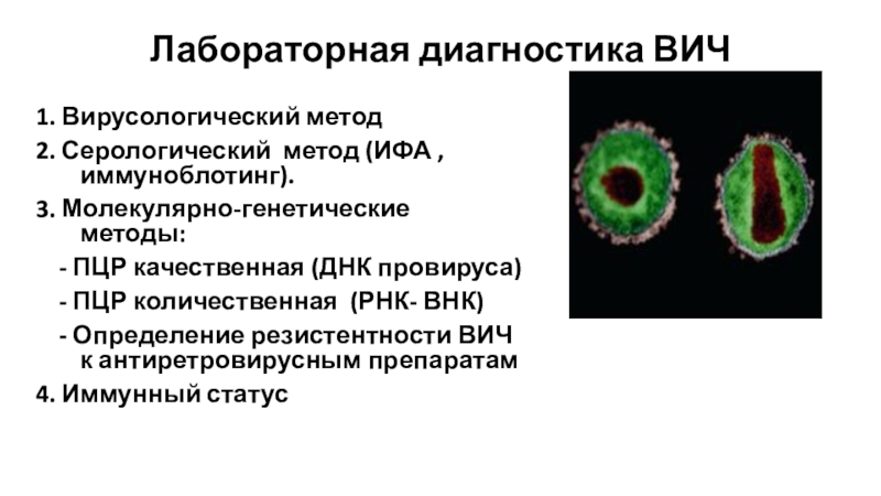 Молекулярно-вирусологический метод. Вирусологический метод диагностики ВИЧ. Провирус ВИЧ это. Алгоритм иммуноблотинга подтверждения ВИЧ.