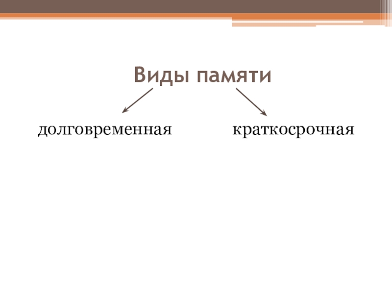 Особенности высшей нервной деятельности познавательные процессы 8 класс презентация