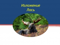 Изложение Лось
