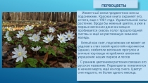 ПЕрвоцветы