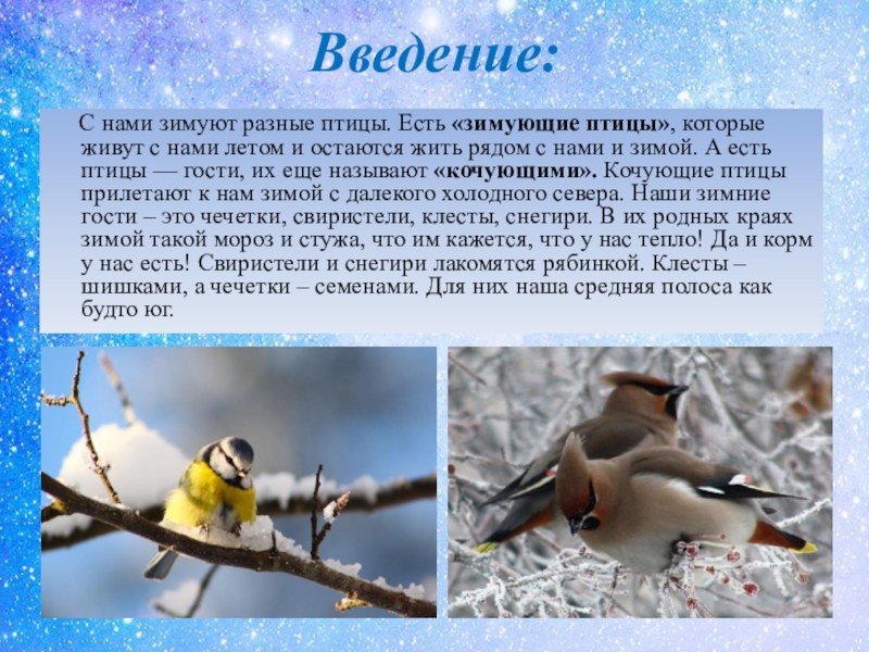 В каких произведениях есть птицы. Зимующие птицы. Зимующие птицы с описанием. Зимующие птицы презентация. Слайд зимующие птицы.