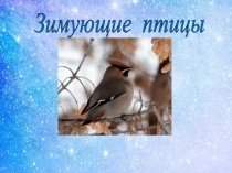 Зимующие птицы