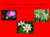 Отдел Покрытосеменные. Общая характеристика и значение