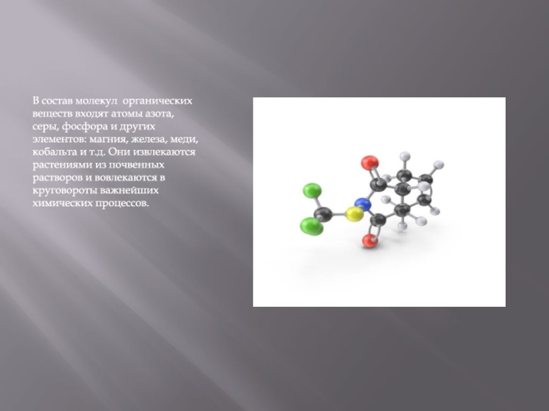 Молекула магния. Состав молекулы. Состав органических молекул. Органические молекулы. Молекулы органических веществ.