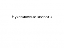 Нуклеиновые кислоты