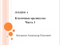 ЛЕКЦИЯ 4