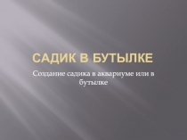 Садик в бутылке