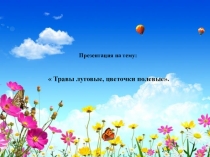 Цветы луговые, садовые лесные