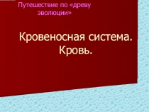 Кровеносная система. Кровь