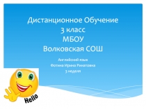 Дистанционное Обучение 3 класс МБОУ Волковская СОШ