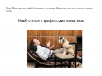 Тема: Животные на службе безопасности человека. Животные для спорта, охоты,