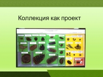 Коллекция как проект