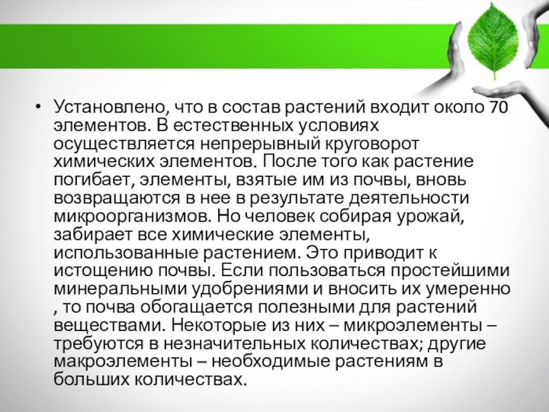 Химический состав растений. Состав растения. Элементный состав растений. Элементный состав травы.