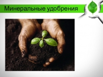 Минеральные удобрения
