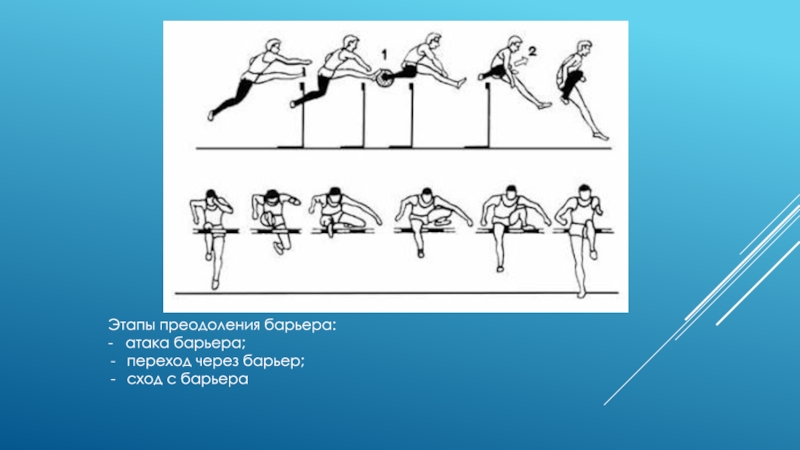 Этап преодоления барьера. Этапы преодоления барьера. Барьерный бег презентация. Фазы преодоления барьера в барьерном беге. Назовите этапы преодоления барьера.