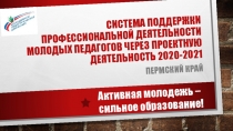 Система поддержки профессиональной деятельности молодых педагогов через