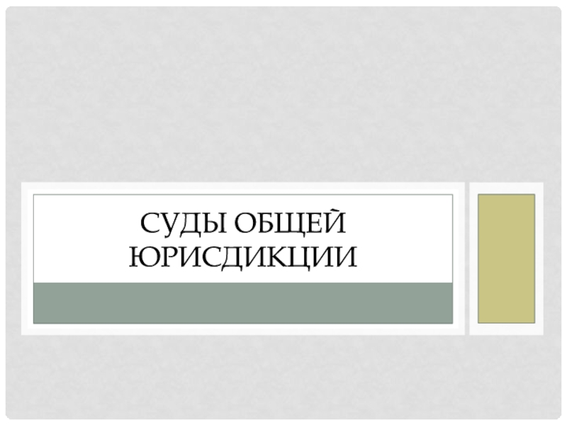 Презентация Суды общей юрисдикции