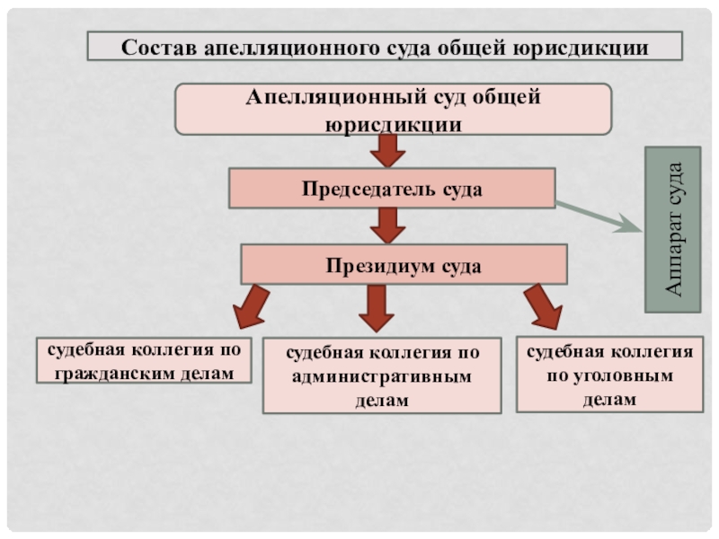 Суды общей юрисдикции презентация