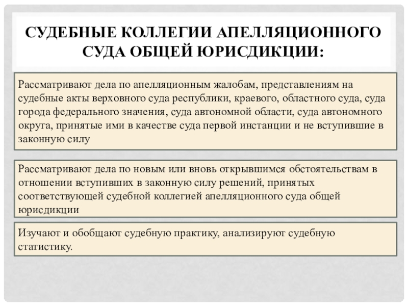 Судебное представление. Принципы деятельности судов общей юрисдикции. Значение суда.