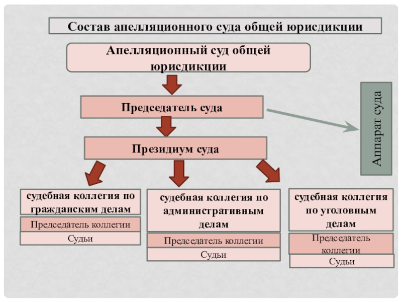 Сайт судов общей юрисдикции. Апелляционные суды общей юрисдикции. Суды общей юрисдикции компетенция. Задачи судов общей юрисдикции. Суды общей юрисдикции Италия.