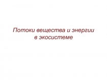 Потоки вещества и энергии в экосистеме