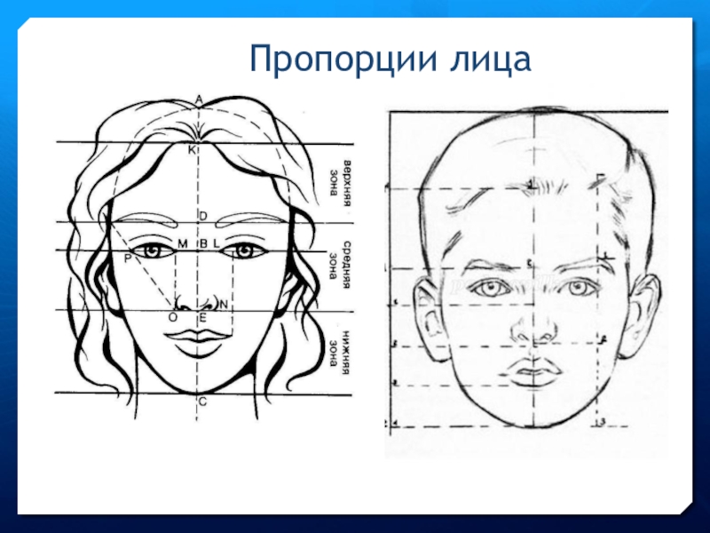 Картина портрет 3 класс технологическая карта