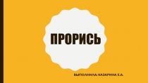Прорись