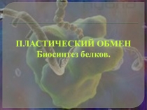 ПЛАСТИЧЕСКИЙ ОБМЕН
Биосинтез белков