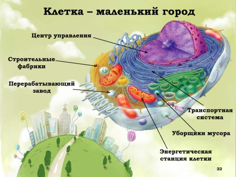 Проект биологии 5 класс