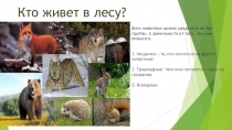 Кто живет в лесу?
