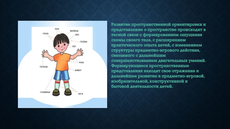 Теле формирование. Ориентировка в схеме собственного тела. Ориентировка в схеме собственного тела задания. Ориентировка в собственном теле для дошкольников. Ориентация в собственном теле задания.