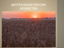 Центральная Россия: хозяйство