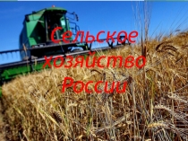 Сельское хозяйство России