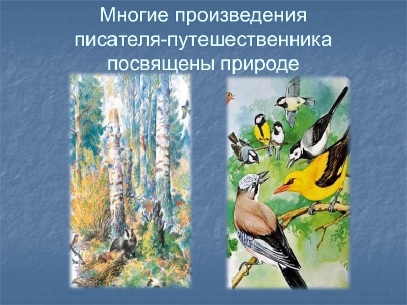 Произведения посвященные птицами