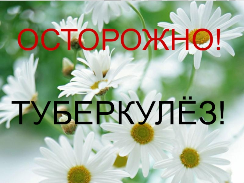 ОСТОРОЖНО!
ТУБЕРКУЛЁЗ!