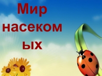 Мир насекомых